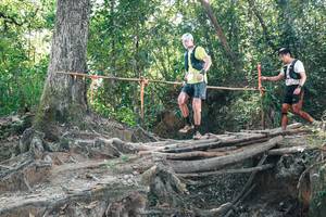 BIB: 
                            <button type="button" onclick="openModal(27743729)" class="btn btn-primary btn-sm float-right btn-popup" data-toggle="modal" data-target=".modal-high-quality">
                        <i class="fas fa-shopping-cart"></i> Add to Cart
                    </button>
                                            <button type="button" onclick="isThisMe(27743729, true)" class="btn btn-success btn-sm float-right btn-popup btn-isme hidden" data-toggle="tooltip" data-placement="bottom" title="นี่คือรูปของคุณใช่ไหม คลิกที่นี่เพื่อเอาเข้าอัลบั้ม">
                        <i class="fas fa-plus"></i> Add to album
                    </button>
                    <button type="button" onclick="isThisMe(27743729, false)" class="btn btn-warning btn-sm float-right btn-popup btn-isnotme hidden">
                        <i class="fas fa-ban"></i> Remove from album
                    </button>